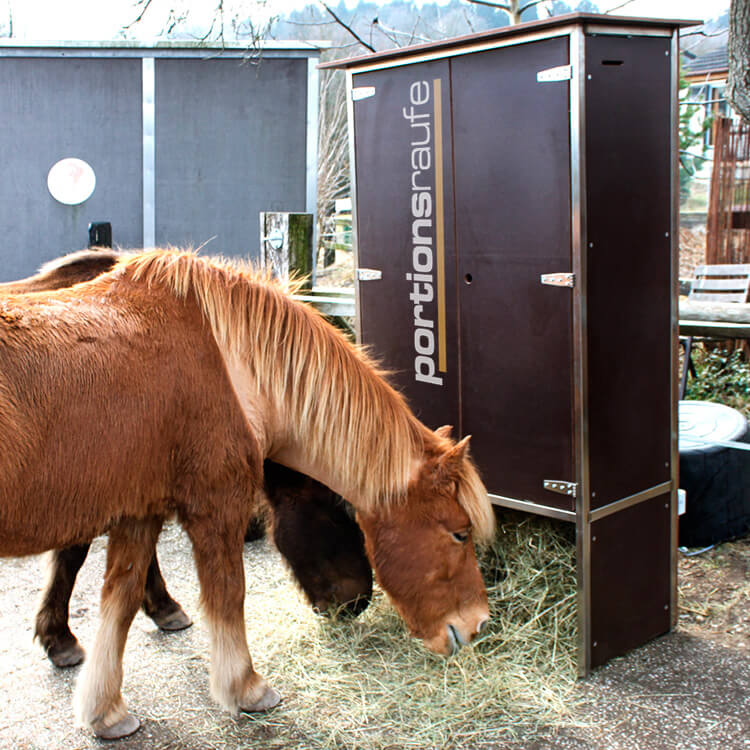 Pferdeautomat Portionsraufe auf der Weide