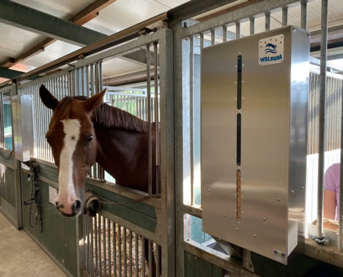 Gestüt Welsum Futterautomaten