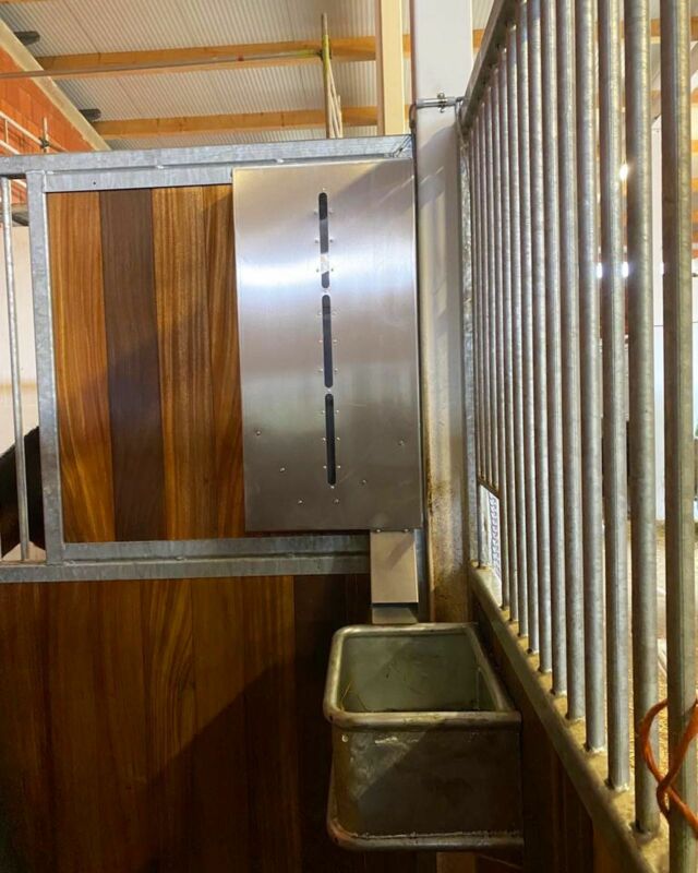 Unser Abschlussprojekt aus 2022 😊 hier haben wir im Jahresendspurt noch eine kleinere Anlage mit 11 Powerfeedern ausstatten können 👌🏼🌾🐴 Pferde und Besitzer waren sehr happy nach der Installation. 🍀✅ #powerfeeder #bbfeedbetter #bbequipment #kraftfutterautomat #futterautomat #happyhorses #pferdefutter #pferdefütterung #slowfeeder #feedingtime #pferdeliebe #futterfee #reitstall #pferdestall #pony #pferdeboxen #lovehorses #ponyliebe #horselover #horsekeeping #pferdepflege #edelstahl #pferdegesundheit